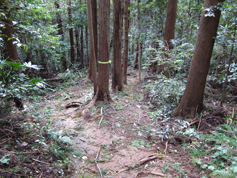 20191017hike (138)